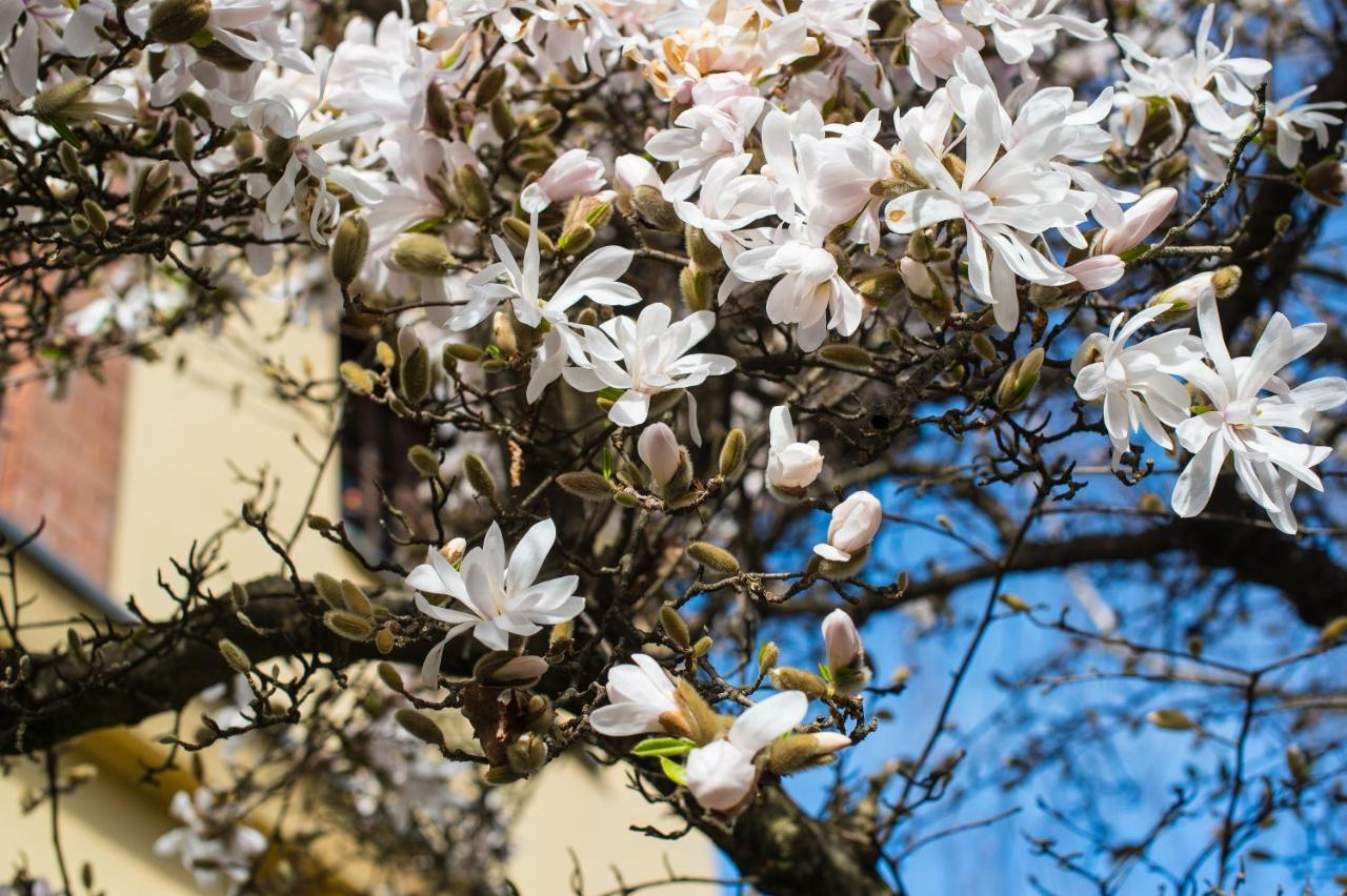 B&B Villa Camilla Pralungo Buitenkant foto