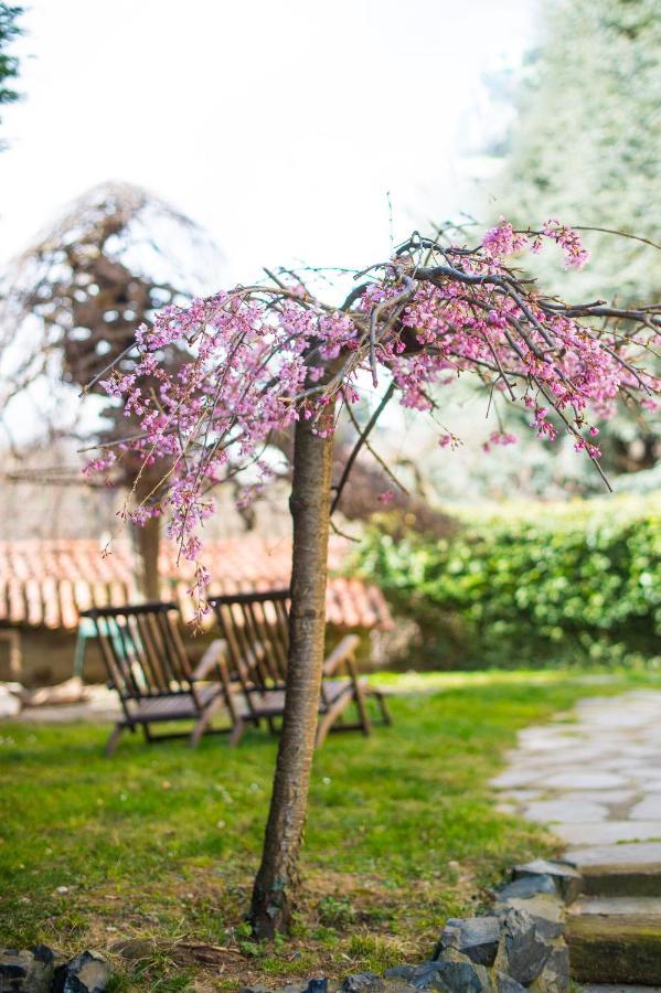 B&B Villa Camilla Pralungo Buitenkant foto